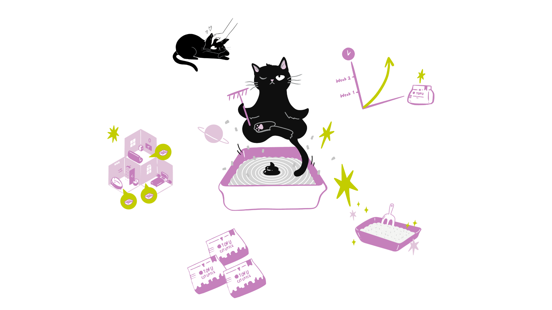 Switching to Tofu Cat Litter Everything You Need to Know Cats