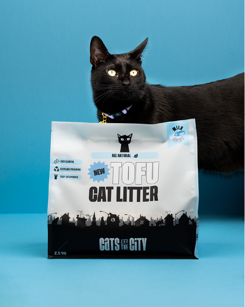 Cat behind tofu cat litter milk