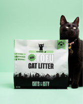 Tofu Cat Litter and a Black Cat