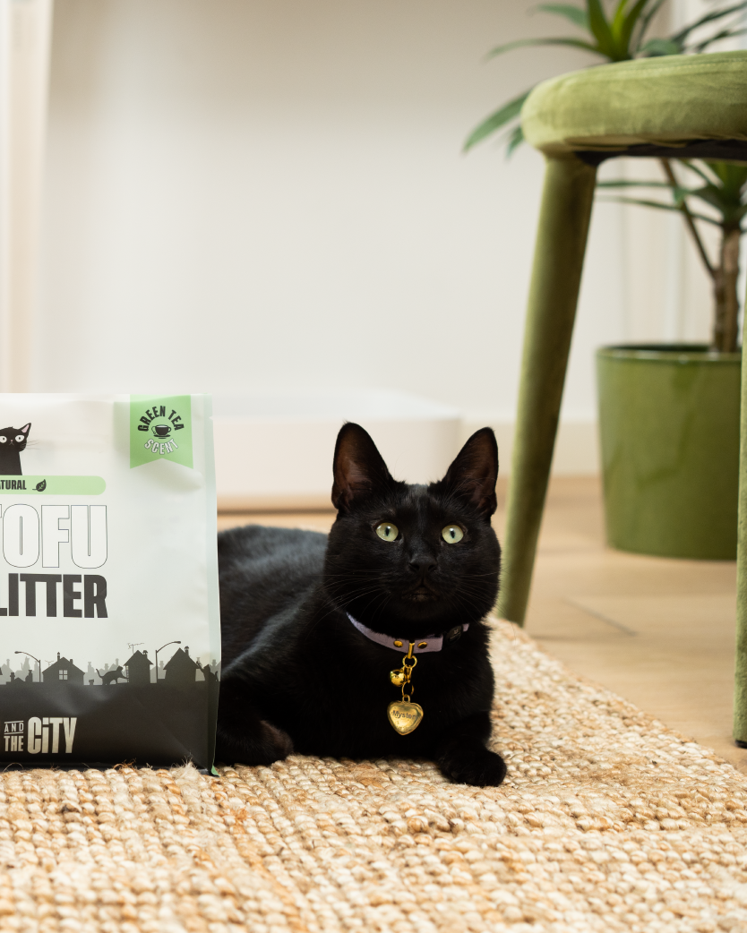 Green Tea Tofu Litter